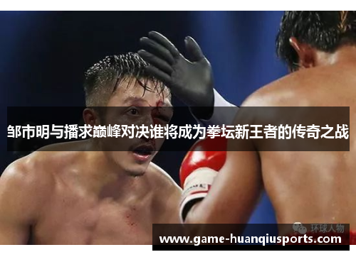 邹市明与播求巅峰对决谁将成为拳坛新王者的传奇之战